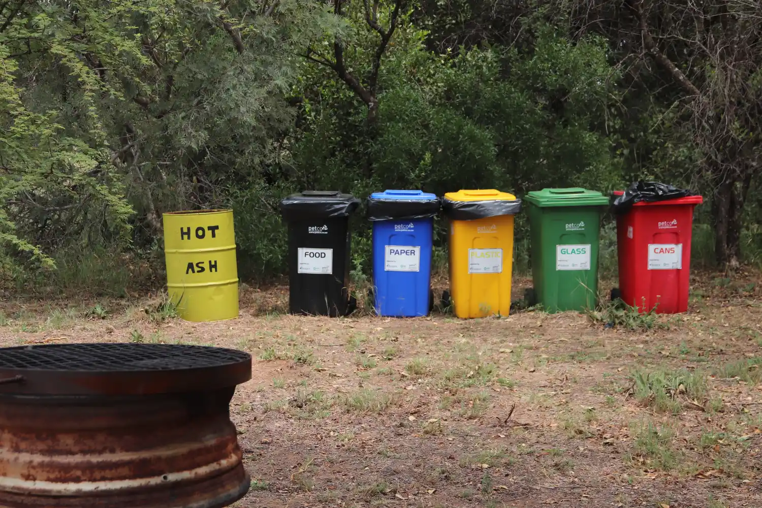 Four different coloured rubbish bins in a line.