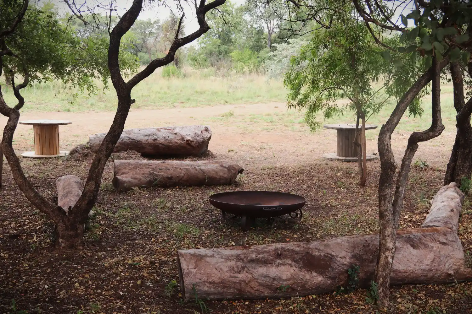 An open area with a braai and seating with tables.