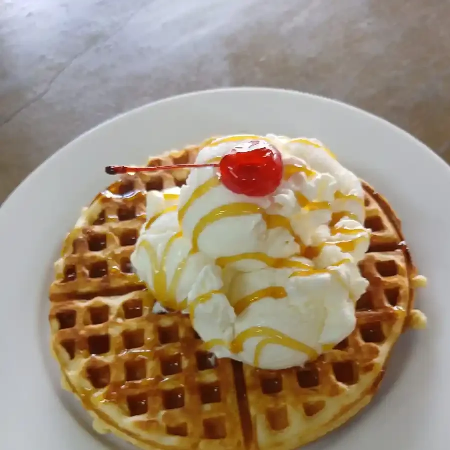 Rusty Rhino Pub Bar Restaurant SmokehouseDinokeng Gauteng South Africa near me nearby Pretoria JHB Johannesburg Game Reserve Food waffle